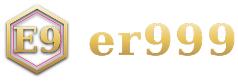 er999 logo